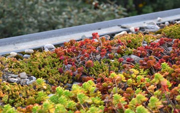 the cost of Rascal Moor green roof installation