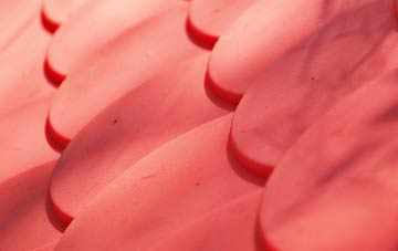 Rascal Moor plastic roof costs