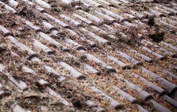 Rascal Moor roof cleaning companies