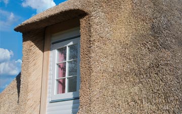 Rascal Moor thatch roof disadvantages