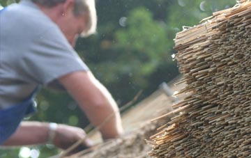 professional Rascal Moor thatchers