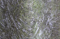 Rascal Moor fibreglass roof work